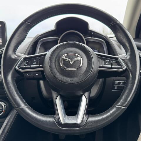 Single Page Thumbnail